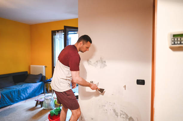 Best Mold Remediation  in Deerfield Beach, FL